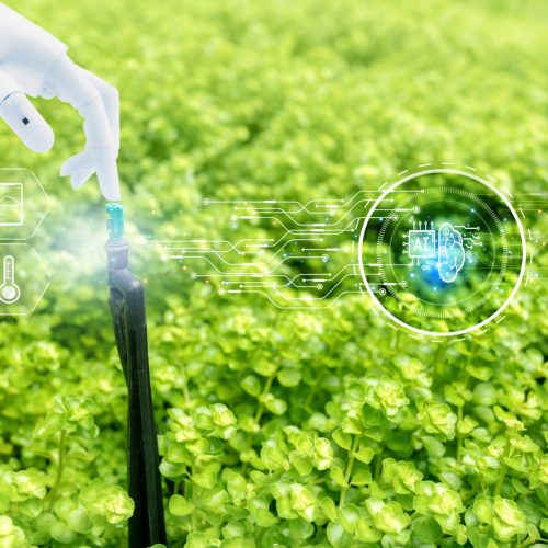 Sustainable irrigation Robot hand touch automatic lawn sprinkler and icon of smart farming concept. Smart agriculture with modern technology concept. Sustainable agriculture. Precision agriculture. Climate monitoring.